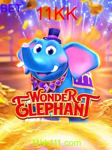 WonderElephant